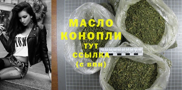 тгк Дмитров