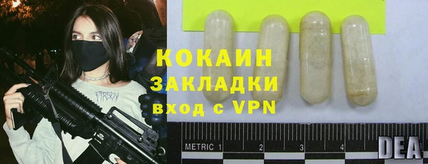 шишки Наволоки