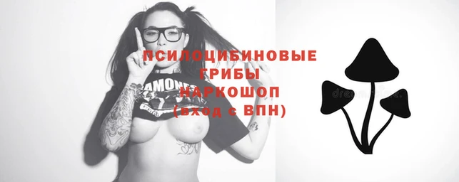 наркотики Дмитриев