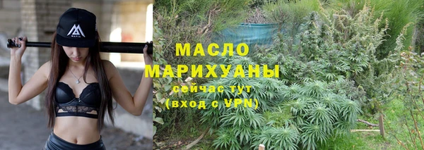 тгк Дмитров