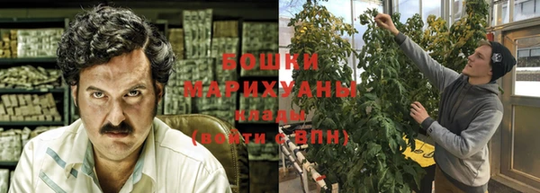 тгк Дмитров
