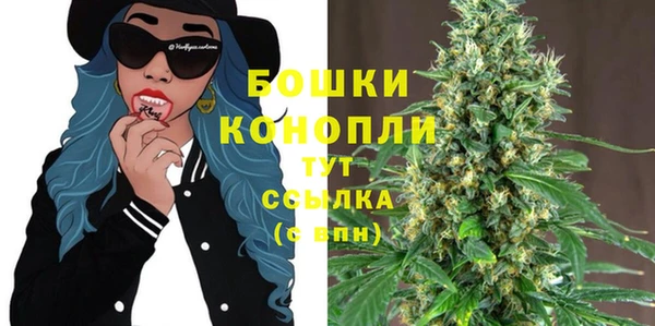 тгк Дмитров