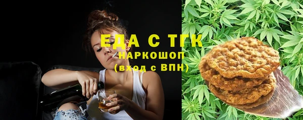 тгк Дмитров