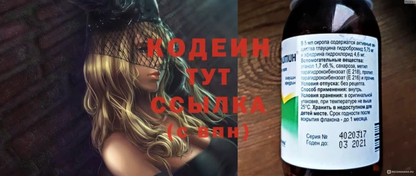 тгк Дмитров