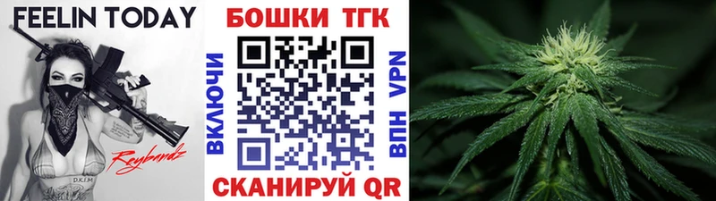магазин продажи наркотиков  Могоча  Шишки марихуана SATIVA & INDICA 